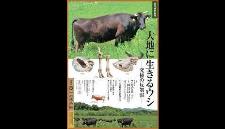 大地に生きるウシ—究極の反芻獣—｜牛の博物館｜あとあと