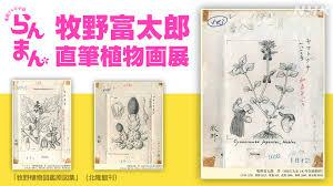 連続テレビ小説「らんまん」・牧野富太郎直筆植物画展