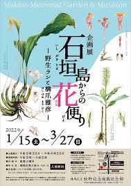 石垣島からの花便り—野生ランと橋爪雅彦— の展覧会画像