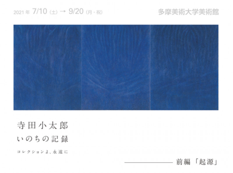 寺田小太郎いのちの記録—コレクションよ、永遠に前編：起源 の展覧会画像