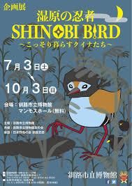 湿原の忍者 SHINOBI BIRD～こっそり暮らすクイナたち～ の展覧会画像