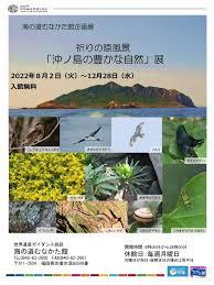 世界遺産登録５周年記念企画展—祈りの原風景沖ノ島の豊かな自然展—