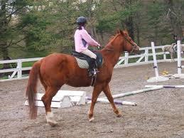 馬（馬具）に由来する種目と馬術競技