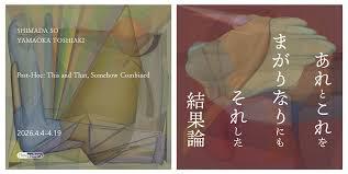しまだそう×山岡敏明 「あれとこれをまがりなりにもそれした結果論」Post-Hoc: This and That, Somehow Combined の展覧会画像