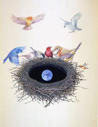鈴木まもる絵本と世界の鳥の巣展