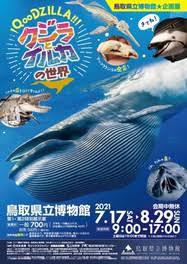 QooDZILLA!! クジラとイルカの世界 の展覧会画像