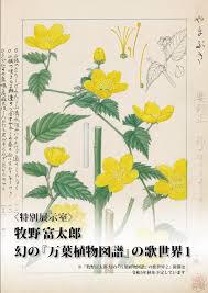 牧野富太郎幻の『万葉植物図譜』の歌世界１