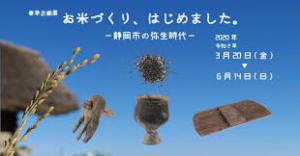 お米づくり、はじめました。—静岡市の弥生時代— の展覧会画像