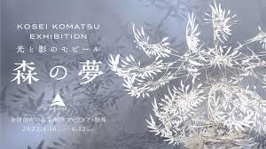 KOSEI KOMATSU EXHIBITION光と影のモビール森の夢 の展覧会画像