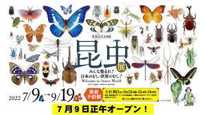 第84回昆虫展—みんな集まれ！日本のむし・世界のむし！—