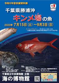 収蔵資料展千葉県勝浦沖キンメ場の魚