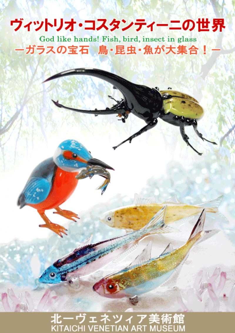 ヴィットリオ・コスタンティーニの世界—ガラスの宝石鳥・虫・魚が大集合！— の展覧会画像