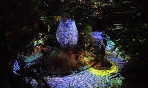 チームラボ宇部市ときわ公園2019世界を旅する植物館水の道光の道