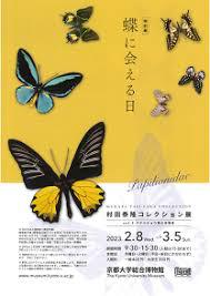 蝶に会える日村田泰隆コレクション展Vol.1 アゲハチョウの多様性