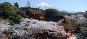 文学の中の富士山(仮) の展覧会画像