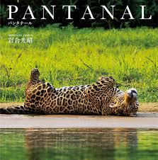 岩合光昭写真展 PANTANALパンタナール清流がつむぐ動物たちの大湿原 の展覧会画像