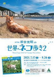 写真展岩合光昭の世界ネコ歩き２ の展覧会画像