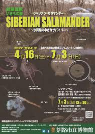 釧路湿原いきもの展シベリアン・サラマンダー