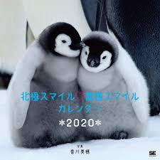 シロクマ、ペンギンもいる！氷の世界展 の展覧会画像
