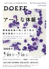 DOEFF アートな体躯