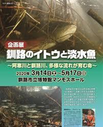 釧路のイトウと淡水魚 の展覧会画像