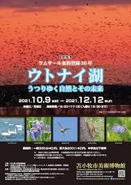 ラムサール条約登録30年ウトナイ湖・うつりゆく自然とその未来／収蔵品展鳥のいる風景 の展覧会画像