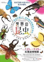 世界の昆虫—昆虫を通して、生き物の多様性を知る— の展覧会画像