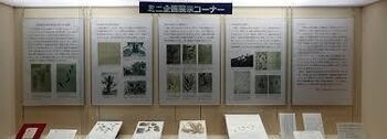 ミニ企画展示神奈川県での牧野富太郎 の展覧会画像