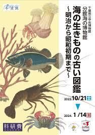 海の生きものの古い図鑑—明治から昭和初期まで— の展覧会画像