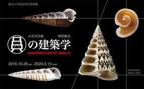 貝の建築学 の展覧会画像