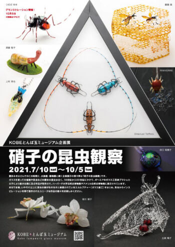 硝子の昆虫観察 の展覧会画像