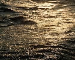 津田直＋原摩利彦トライノアシオト—海の波は石となり、丘に眠る の展覧会画像