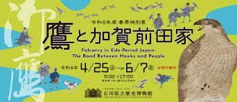 令和8年度春季特別展「鷹と加賀前田家」 の展覧会画像