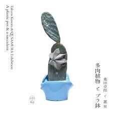 桑田卓郎と叢 展  『多肉植物とプラ鉢』 ― A plastic pot and a succulent ― の展覧会画像