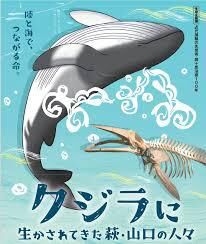 クジラに生かされてきた萩・山口の人々 の展覧会画像