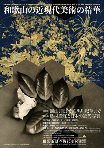 和歌山の近現代美術の精華 の展覧会画像