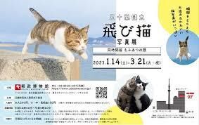 五十嵐健太飛び猫写真展同時開催：もふあつめ展 の展覧会画像