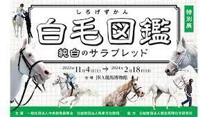 テーマ展競馬ポスター展（年度代表馬編）／2023年度JRA賞展 の展覧会画像