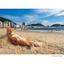 写真展 岩合光昭の世界ネコ歩き２ の展覧会画像