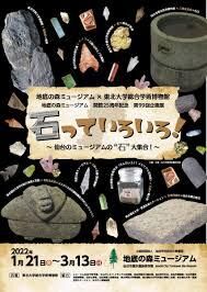 石っていろいろ！～仙台のミュージアムの“石”大集合！～ の展覧会画像