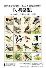 小鳥図鑑 の展覧会画像