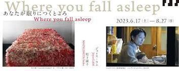 あなたが眠りにつくところ松下誠子／ジョイス・ラム の展覧会画像
