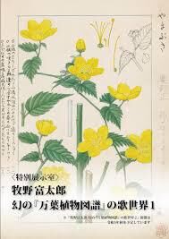 牧野富太郎幻の『万葉植物図譜』の歌世界１ の展覧会画像