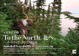 大竹英洋写真展「To the North. 北へ。ノースウッズ、そしてアラスカ」 の展覧会画像