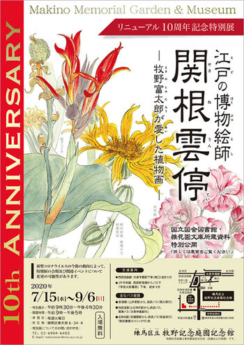 江戸の博物絵師関根雲停—牧野富太郎が愛した植物画 の展覧会画像
