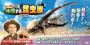 ファーブルに学ぶ！体感する昆虫展 TOKYO の展覧会画像
