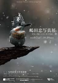 嶋田忠写真展—野鳥に魅せられた男の物語— の展覧会画像