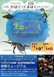 国立科学博物館・コラボミュージアム in くまもと生命のれきし—君につながるものがたり— の展覧会画像