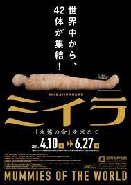 ミイラ「永遠の命」を求めて の展覧会画像