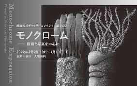 横浜市民ギャラリーコレクション展2022モノクローム —版画と写真を中心に の展覧会画像